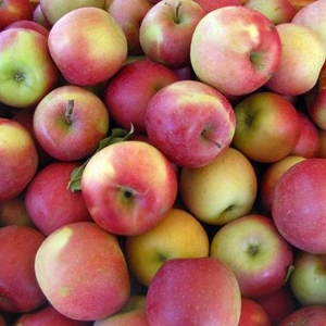 Manzanas Frescas Royal Gala, Fuji, Golden Delicious, Red Delicious - Grado A, Origen Sudáfrica, 8cm, 0.2kg, 100% Maduras, 2 Años de Duración - Product Image 1