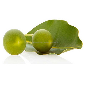 Extracteur d'huile tamu, 100% pure et biologique - Product Image 2