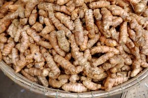 Curcuma cru, curcuma frais, prix de gros du curcuma au Vietnam - Product Image 2