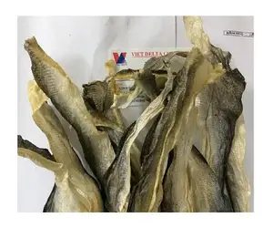 CHEAP PRICE CAT FISH SKIN WITH HIGH QUALITY