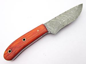Cuchillo de caza de Damasco hecho a mano, hoja de dólar aw11, Sm - Product Image 4