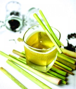 หญ้ามะนาวแช่แข็งจากวันหยุดเวียดนาม/Ms - Product Image 2