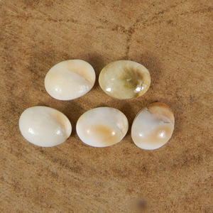 Pierre précieuse naturelle en coquille d'œil de Shiva, cabochon ovale de 16x12 mm, sertissage de bijoux, pierre précieuse - Product Image 2