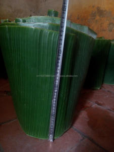 Plátano verde fresco, precio competitivo, oferta, vacaciones, 100%, entrega rápida - Product Image 5