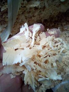 Virutas de madera para ropa de cama de aves de corral-Virutas de madera para ropa de cama de caballos - Product Image 6