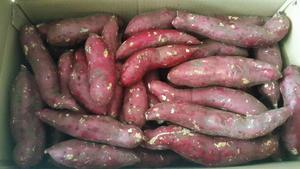 Batata congelada/batata púrpura - Product Image 2