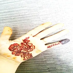 Professionals Natural Black Red Color Indian Henna Tattoo Paste Glitter Cone, Mehndi for Body Art in black Cream henna Glitter C