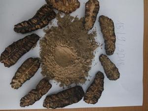 ผลไม้โนนีสดจากเวียดนาม สีขาว รูปทรงกลม บรรจุกล่อง แช่แข็ง โนนี ผลไม้โนนี - Product Image 6