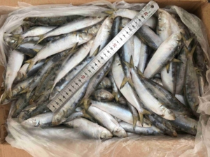 Pescado de sardina congelado al mejor precio - Product Image 2