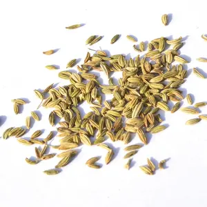 Olio essenziale di semi di finocchio naturale puro al 100% distillato a vapore