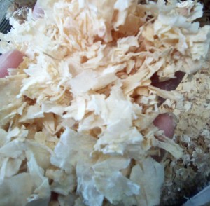 High Quality Home <b>Wood</b> <b>Shaving</b> /contact to Ms.Holiday - Product Image 4