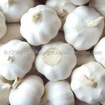 good fresh normal pure white garlic with great price
