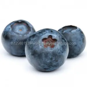 Cranberry Liar Kering Segar, Blueberry Kering. Buah Kering Kualitas Tinggi