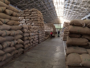Granos de almendras crudas y tostadas secas orgánicas Merienda nutritiva a granel empaquetada para uso agrícola - Product Image 4
