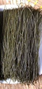 ก๋วยเตี๋ยวมะรุม - Product Image 4