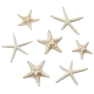 2019 Nuovo Arrivo Spiaggia di Estate Reale Starfish Bambini Della Ragazza Barrette Decorazione Dei Capelli Accessori FAI DA TE Per La Clip di Capelli Delle Donne