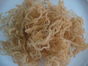 Dry EUCHEUMA COTTONII/Sargassum Seaweed High Quality - Ms: Holiday - Product Image 4