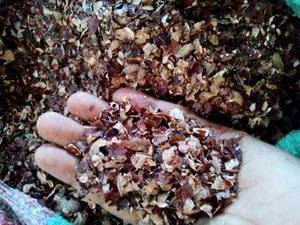Coque de noix de cajou, taille naturelle/poudre/déchets agricoles - Product Image 4