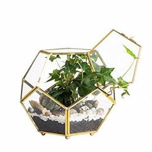 NEW <b>GEOMETRIC</b> CHEAP DESIGN PLANT <b>TERRARIUM</b> HOME DECORATIVE TABLE TOP PLANT HOLDER HANDMADE OUTDOOR <b>TERRARIUM</b> - Product Image 2