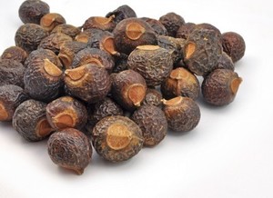 Wholesale Soapnuts Organic Soap <b>Nuts</b> HOLIDAY - Product Image 2