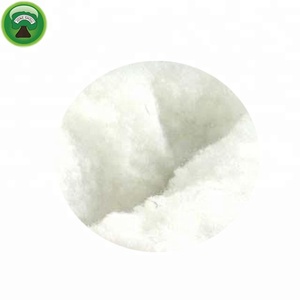 Fleece Chain Horse Hobble \ Deluxe Chain Hackamore Horse Hobble \ Hackamore of Leather - Product Image 3