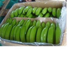 The Exporter <b>Fresh</b> <b>Banana</b> From Vietnam 2023 - Product Image 2