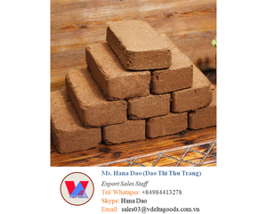 La turba de Coco - Product Image 4