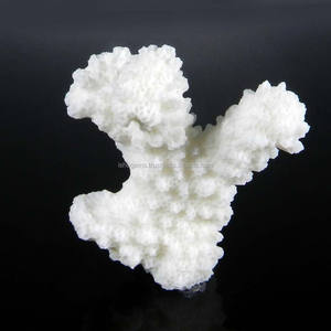 Racimo de coral blanco natural 49x49mm Fancy 106,80 Cts Joyas de piedras preciosas sueltas - Product Image 1