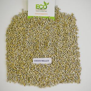Millet vert indien pour l'alimentation des poulets/les oiseaux - Product Image 4