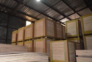 Contreplaqué de bois dur mélangé Eucalyptus Bintangor rougeâtre commercial, face et dos, épaisseur 14,5 mm, émission de formaldéhyde E2, extérieur - Product Image 3