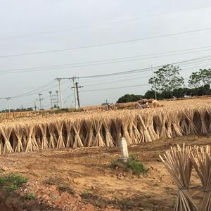 Bois d'acacia fait à la main, bois plusieurs bois, idéal pour scier le bois - Product Image 2