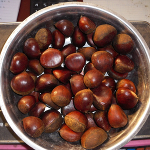 Castañas Frescas Orgánicas 100% Premium de Primera Calidad con Sabor Suave, Procesamiento Crudo, Mejores Precios al por Mayor, Suministradas a Mercados Globales - Product Image 1