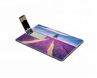Poco Costoso all'ingrosso 8 gb Carta di Credito Aziendale Penna Memory Stick, Personalizzata Bulk 1 gb USB Flash Drive