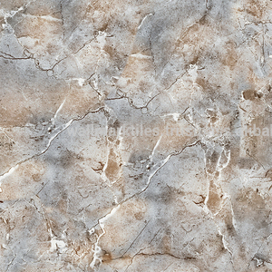 Carreau de décoration murale numérique en céramique Meilleurs carreaux de céramique en porcelaine - Product Image 1