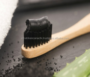 BAMBOO CHARCOAL TOOTHPASTE COCONUT SHELL CHARCOAL - Product Image 1