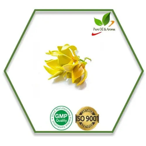 100% minyak esensial Ylang Ylang murni dan alami untuk Aromaterapi dan perawatan kulit dalam jumlah besar dari India