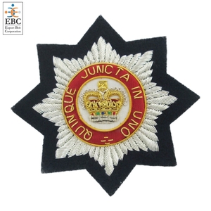 Écussons brodés en tissu, artisanat de fils d'or et d'argent, paillettes 3D sans nickel, à coudre pour clubs sportifs, écoles, événements sociaux - Product Image 2