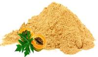Papaya Fruit Poeder Voor Ayurvedische Remedie