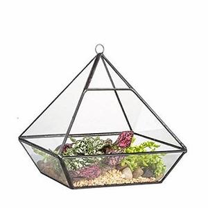 Terrario de vidrio con diseño elocuente para plantas suculentas, Terrario de plantas de diseño POPULAR para jardín y mesa al aire libre, terrario superior - Product Image 5