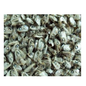 ปลากะตักหัวปลาสำหรับการส่งออก - Product Image 1