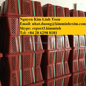 <b>FRESH</b> CALAMANSI <b>FRUIT</b> - Product Image 4