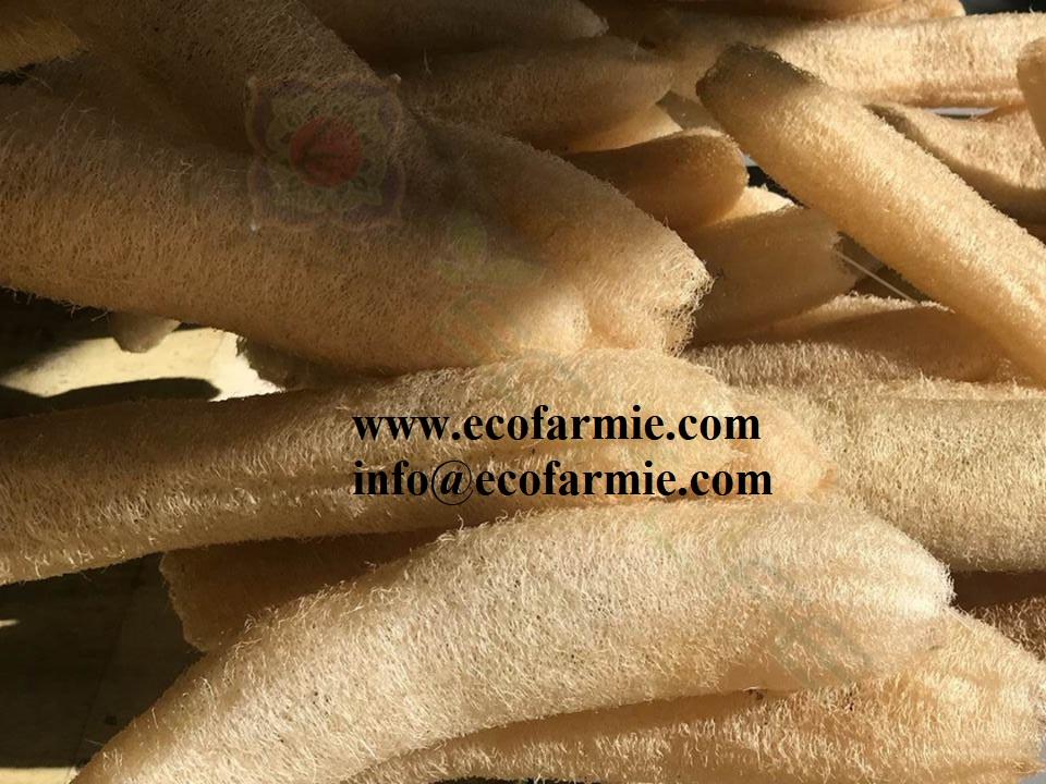 เหลืองอ่อน