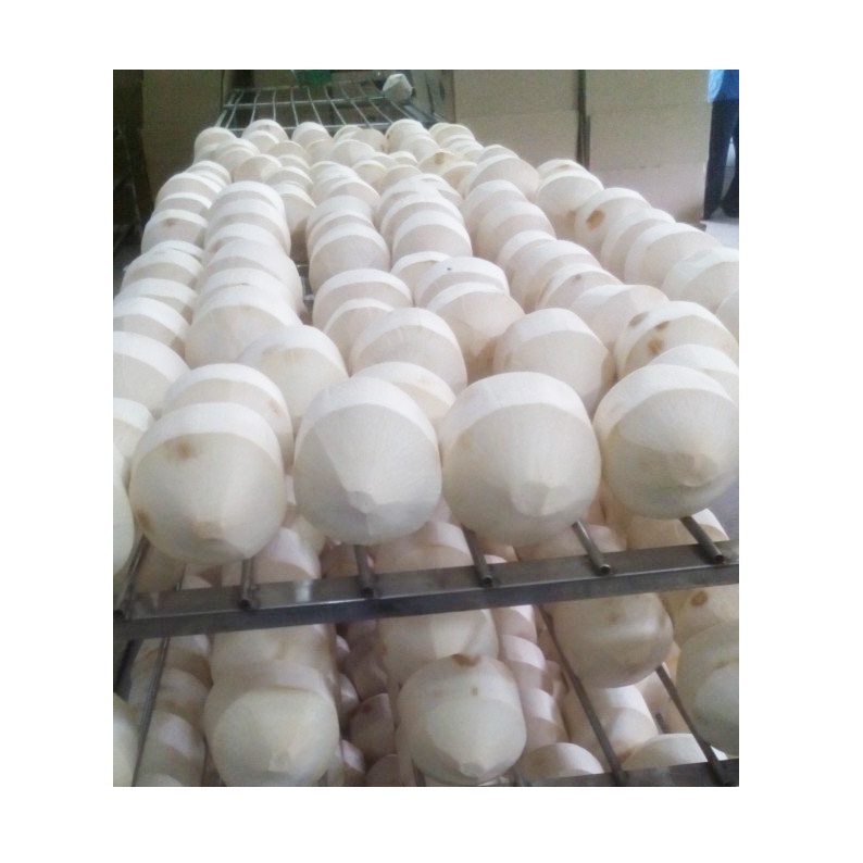 Кокос в форме алмаза по лучшей цене/WHATSAPP