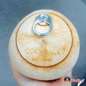 HIGH QUALITY <b>FRESH</b> <b>COCONUT</b> YOUNG - Product Image 5