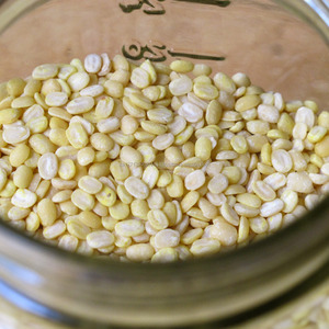 Fournisseur en gros de haricots mungo séchés jaune clair de qualité supérieure, emballage en vrac à vendre à prix avantageux - Product Image 3