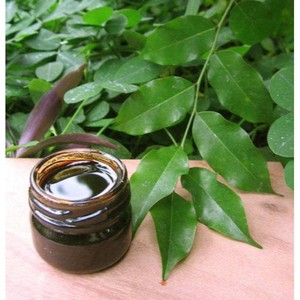 Indonésie Gurjun Balsam Oil 100% Huile essentielle pure et naturelle Aromathérapie et diffuseurs pour la maison Fournisseur de matériaux en résine en vrac OEM - Product Image 1