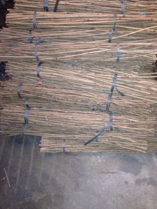 Bastones de Bambú - Product Image 3