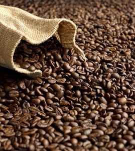 Granos de cacao Raw Trinitario de grado A en bolsas de 25kg de Sudáfrica a la venta - Product Image 5