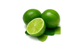 Limón Verde Fresco Sin Semillas de Vietnam, Elección del Proveedor - Product Image 6