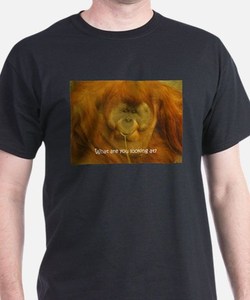 เสื้อเชิ๊ตพิมพ์ลายสำหรับผู้ชายเสื้อเชิ๊ตผ้าฝ้าย100% บริการ OEM ผ้าถักรัดรูปผ้าย้อมสีเรียบ - Product Image 6